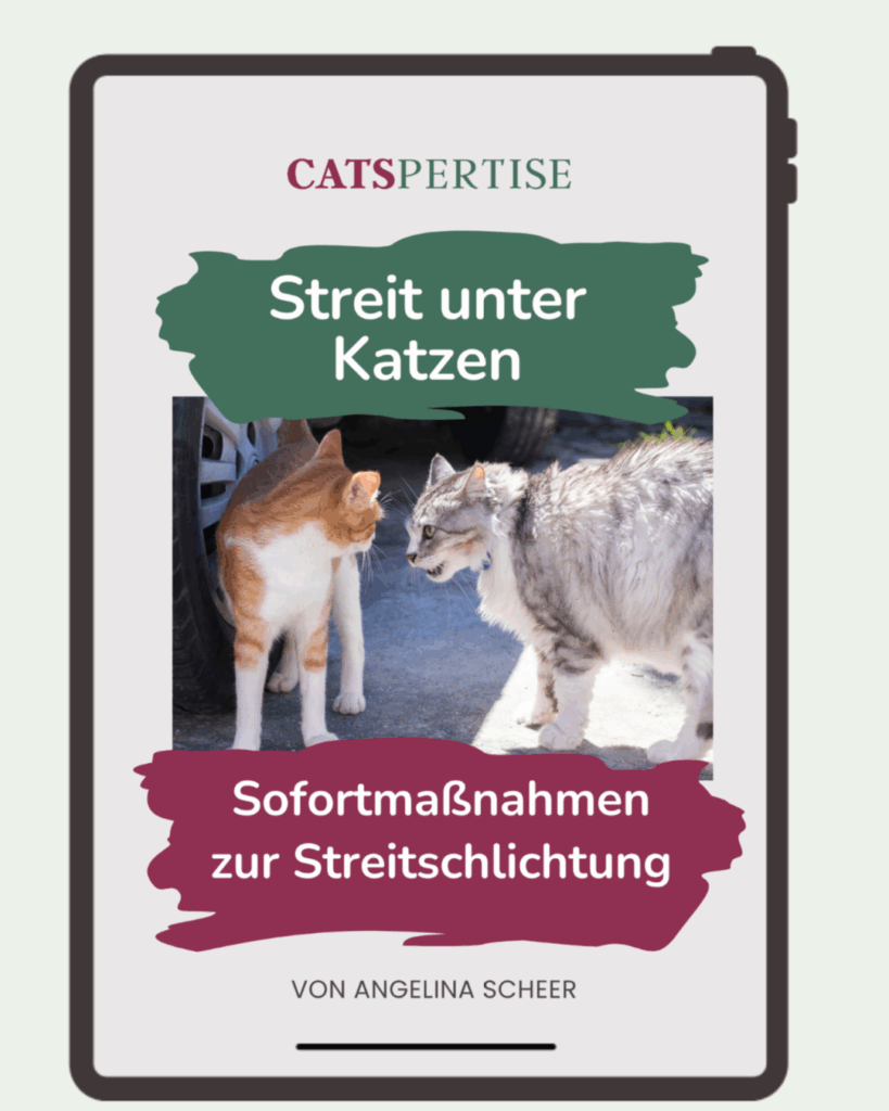 Guide für 0€ Titelseite