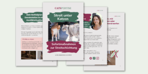 0€ Guide Vorschau