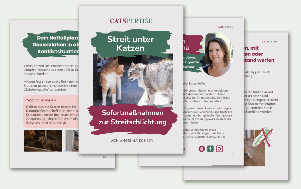 0€ Guide Vorschau