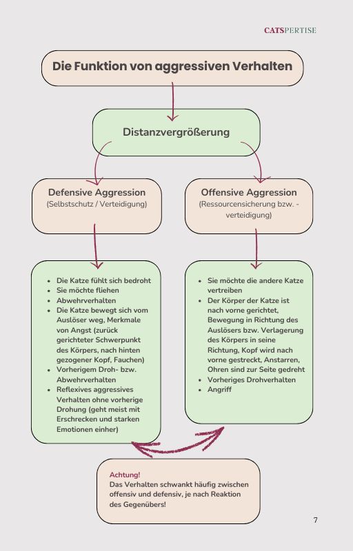 Guide Katzenstreit (1) Guide Katzenstreit 1