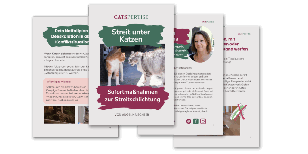 Vorschau Guide Vorschau Guide