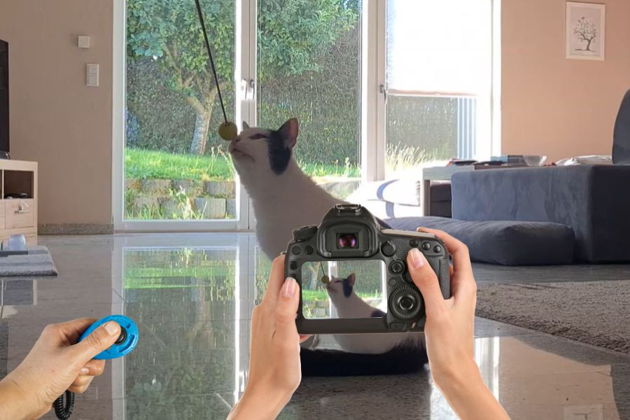 Clickern wie Schnappschuss